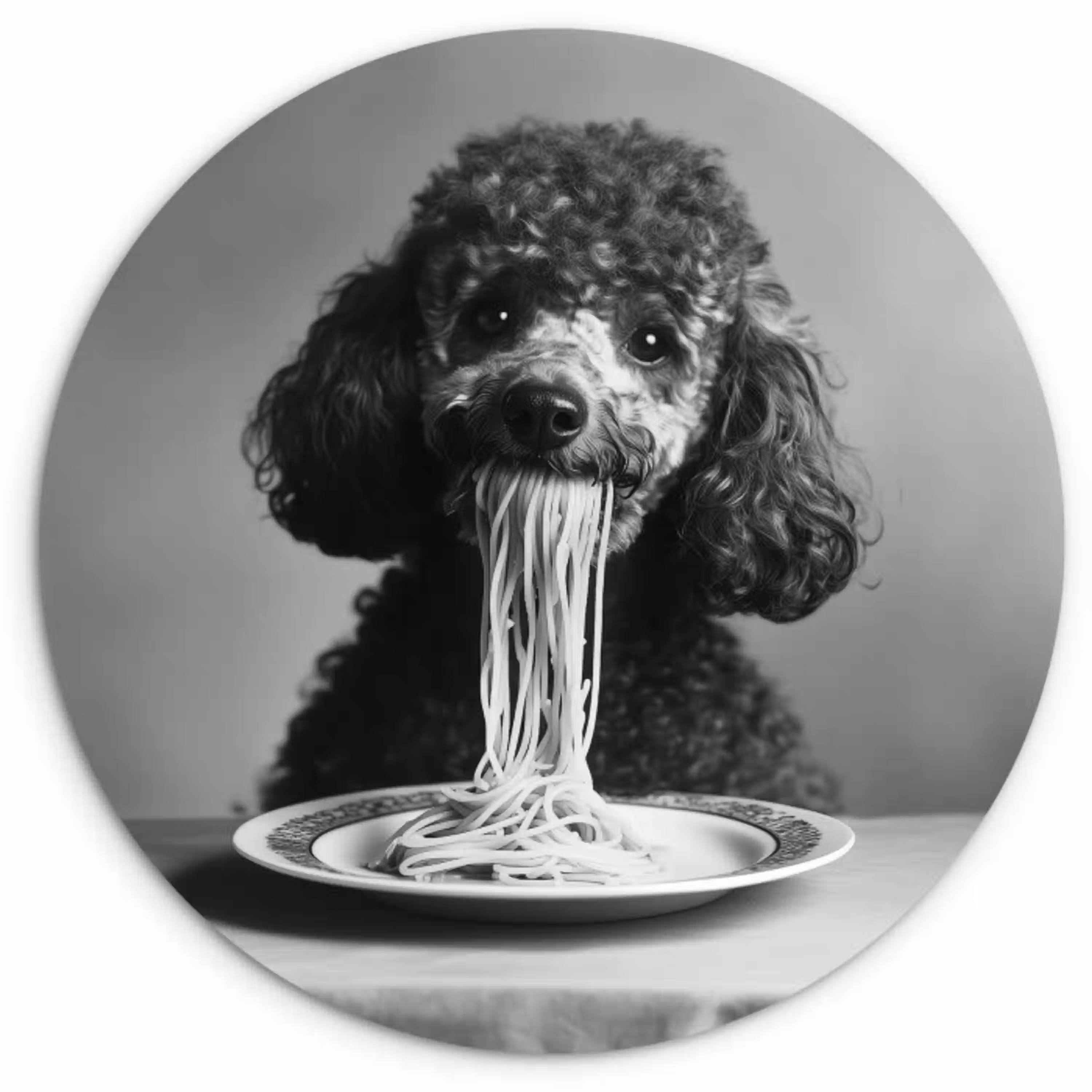 Poedel - Hond - Zwart - Wit - Schattig - Pasta Wandcirkel kunststof plaat 5mm dik klein -3d