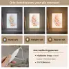 Vos - Pastel kleuren - Dier Light Box met kabel klein -USP_lichtkleurNL