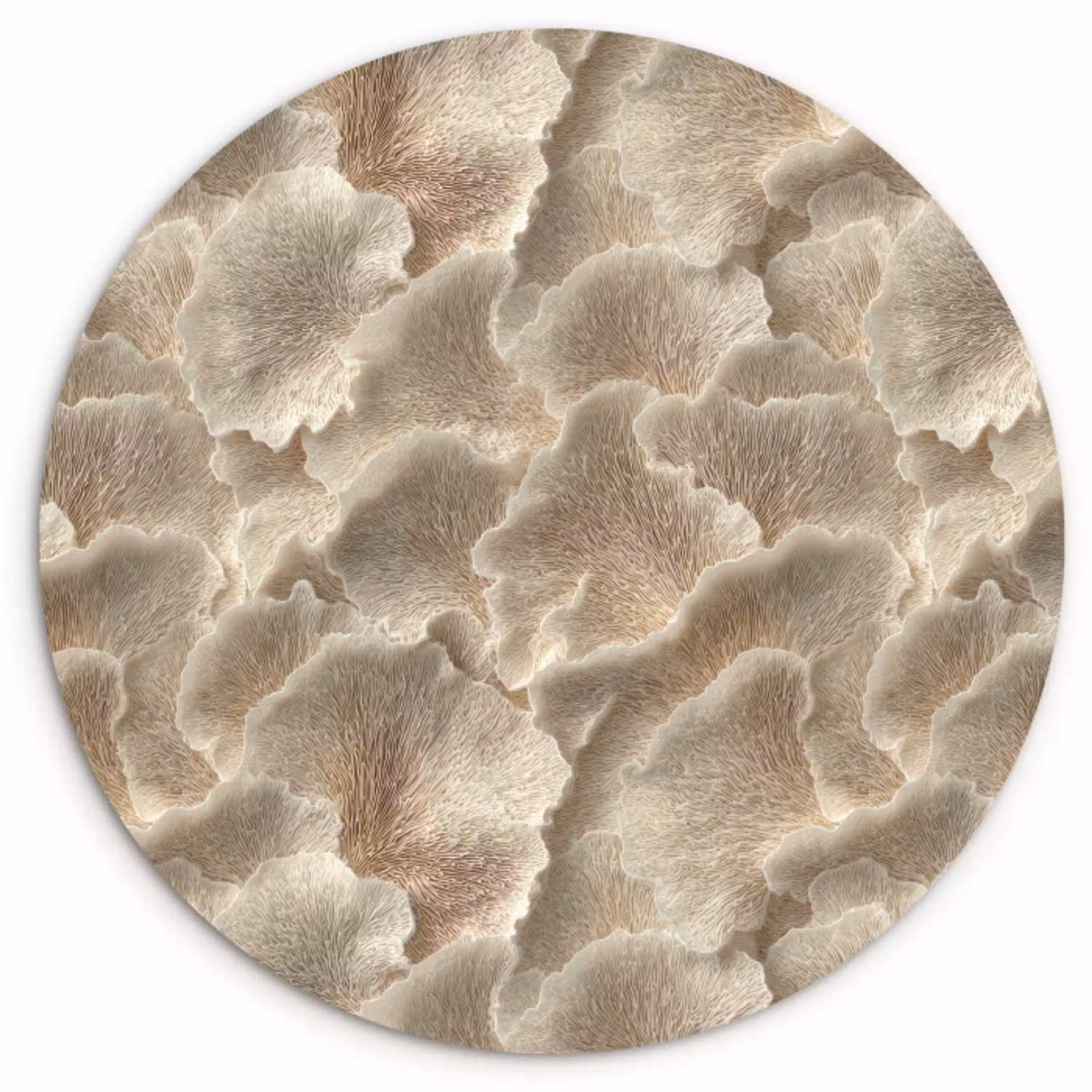 Waaierstructuren - Beige - Vezeltextuur Wandcirkel kunststof plaat 5mm dik klein 188 -3d