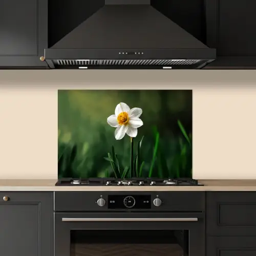 Narcis - Bloem - Wit - Grassprieten keuken achterwand spatscherm klein -sfeer1