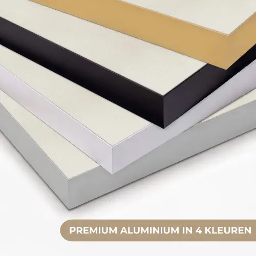 Wabi sabi - Plant - Beige Textielframe zwart klein -USP_kleurenNL