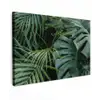 Tropische Bladeren Tuinposter op houten frame 2 cm dik klein -3d