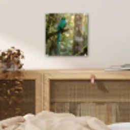 Quetzal - Jungle - Natuur - Groen plexiglas 5mm klein -sfeer4