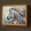 Zebra - Wilde dieren - Vlinder - Bloemen Light Box met batterij (Wandlamp) middel -z3d_website