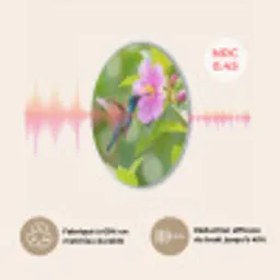 Kolibrie - Bloem - Natuur - Groen Akoestische PET Vilt - Rond klein -USP_FR