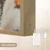 Pampasgras - Pluimen - Sierlijk Light Box met batterij (Wandlamp) middel -USP_websiteoplaadbaarNL