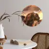 Schotse hooglander - Zon - Horizon - Koe - Dieren Wandcirkel behangsticker klein -sfeer3