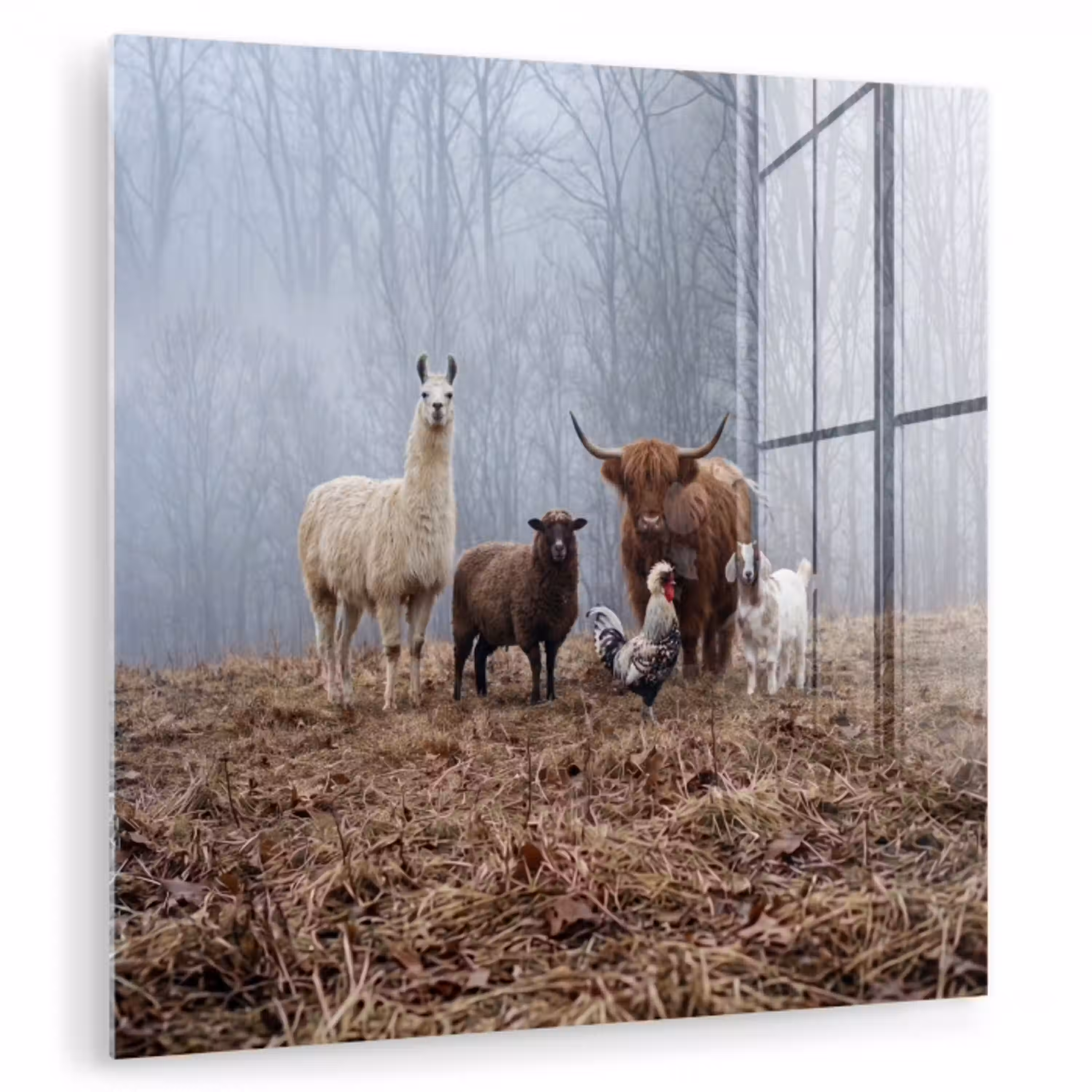 Boerderijdieren - Groep - Mist - Natuur - Rustiek plexiglas 5mm klein -zzzproduct_nieuw