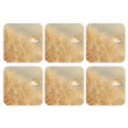Paardenbloem - Water - Natuur - Planten - Modern onderzetter kurk middel -3d