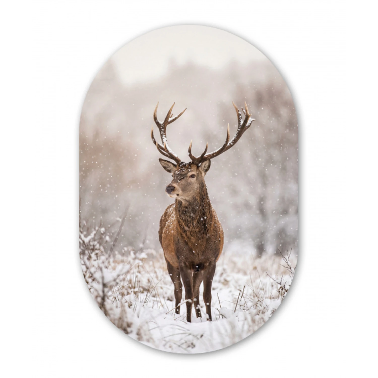 Edelhert - Bos - Sneeuw - Winter - Majestueus Wandcirkel Ovaal Forex klein -3d