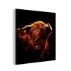 Schotse hooglander - Koe - Hoorns - Portret - Dieren aluminium wit klein -3d