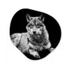 Wilde dieren - Wolf - Zwart - Wit Wandcirkel Organisch Forex 3mm klein -3d