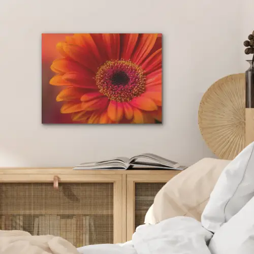 Oranje - Gerbera - Intens PET vilt klein -sfeer3