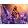 Vlinder op lavendel bij zonsondergang tuinposter los doek klein -3d