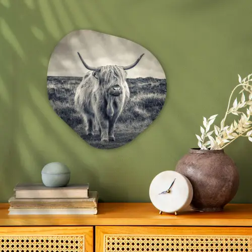 Schotse hooglander - Dieren - Wolken - Koe - Natuur Wandcirkel Organisch Forex 3mm klein -sfeer2