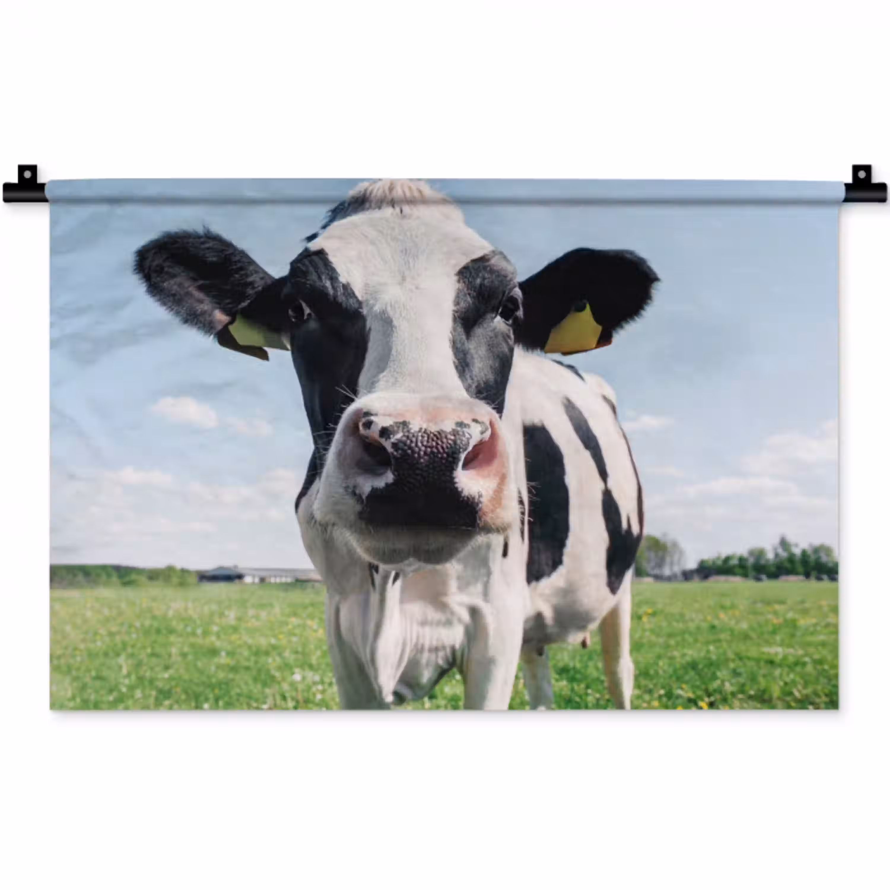 Koe - Weiland - Natuur - Dieren - Gras Wandkleed katoen klein -zz3d