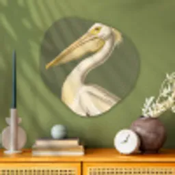 Pelikaan - Wit - Vogel - Klassiek - Natuur Wandcirkel Organisch Aluminium middel -sfeer2