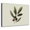 Olijftak - Donkergroen - Olijven Textielframe zwart klein -3d