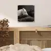 Paarden - Zwart - Wit - Kudde plexiglas 5mm klein -sfeer4