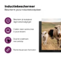 Runderen - Kudde - Landschap - Weide - Rustig Inductie beschermer vinyl 3mm middel -zzzzzzz-cc-usp