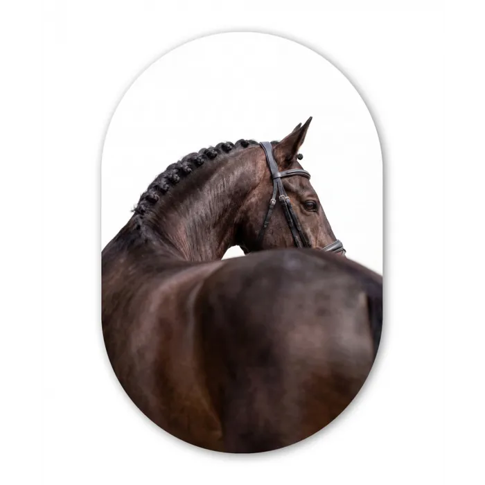 Portret - Paard - Elegant Wandcirkel Ovaal Forex klein -3d