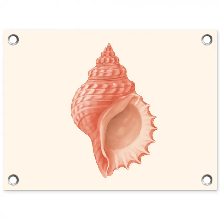 Schelp - Roze - Structuur tuinposter los doek klein -3d