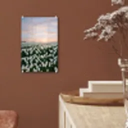 Tulpen - Landschap - Wit plexiglas 5mm klein -sfeer5