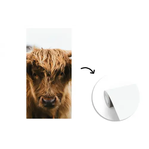 Schotse Hooglander -  Koe - Gras - Dieren - Natuur fotobehang vinyl groot -3d