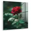 Roos - Bladeren - Dieprood plexiglas 5mm klein -zzzproduct_nieuw