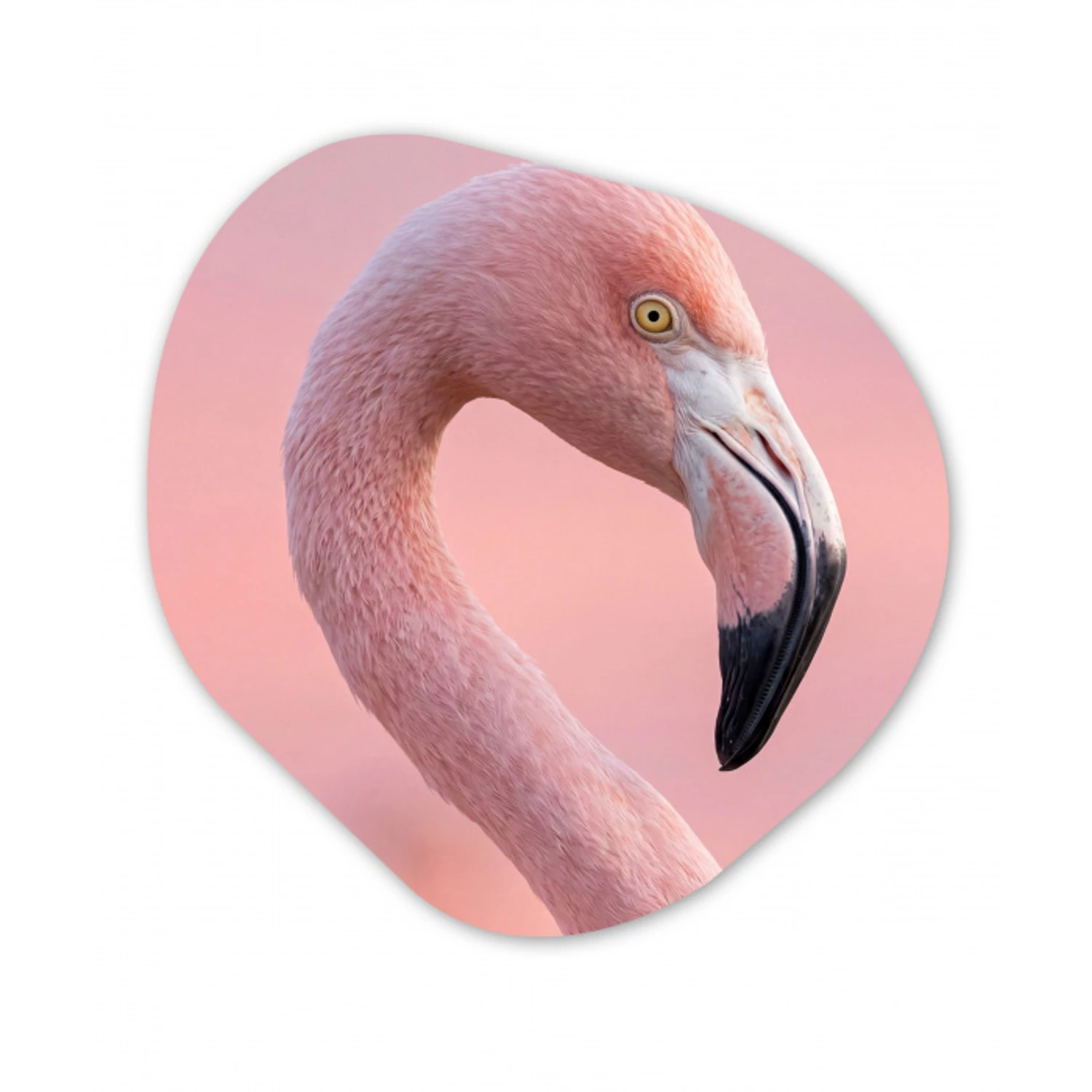Flamingo - Portret - Roze Wandcirkel Organisch Aluminium middel -3d