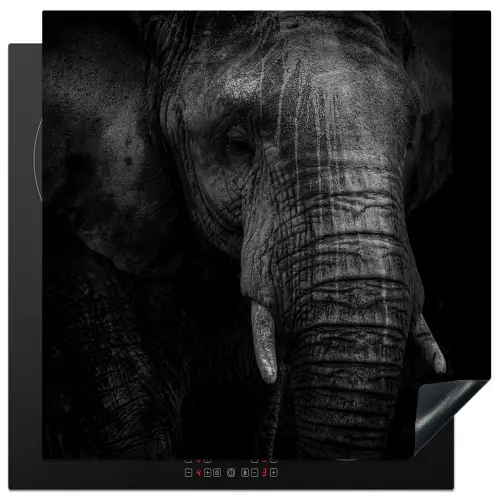 Olifant - Dier - Portret Inductie beschermer vinyl 3mm middel -3d