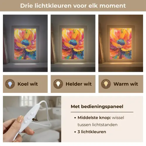 Bloem - Verflook - Modern - Abstract - Kleuren Light Box met kabel (Tafellamp) klein -USP_lichtkleurNL