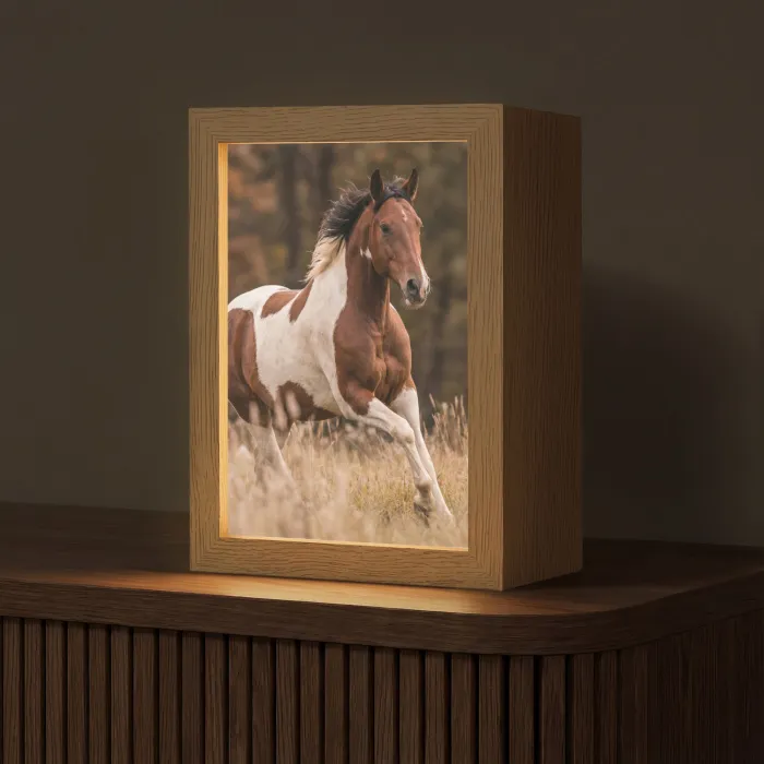 Paard - Bruin - Gras Light Box met kabel (Tafellamp) klein -z3d_website