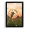 Paardenbloem - Zonsondergang - Veld fotolijst zwart zonder passe partout klein -3d