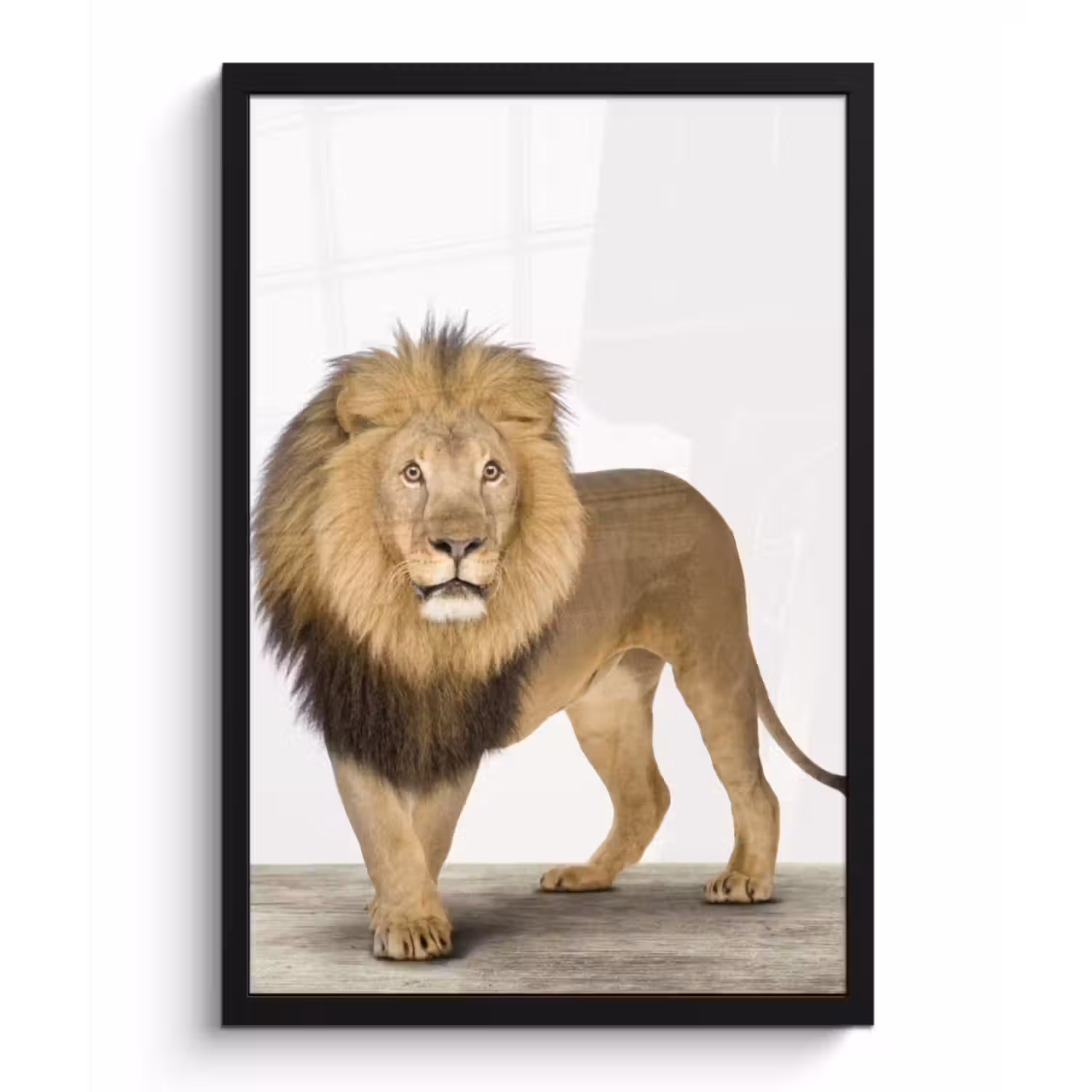 Poster met lijst - Jongens - Leeuw - Dieren - Kinderen - Meisjes
