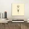 Illustratie - Tulp - Zwart aluminium wit klein -sfeer1