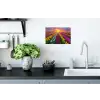 Tulpenveld - Zonsondergang - Kleurrijk Muursticker klein -keuken