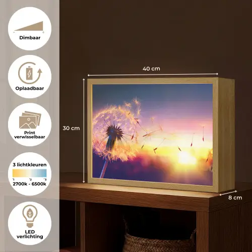 Paardenbloem - Bloemen - Zonsondergang - Horizon - Nacht Light Box met batterij (Wandlamp) middel -USP_websiteoverzichtNL