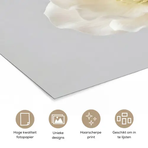 Bloem - Minimalistisch -Wit poster papier klein -closeup_NL