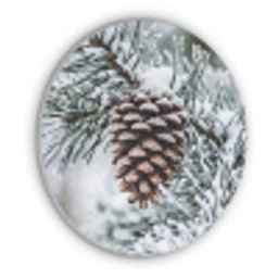 Dennenappel - Tak - Sneeuw - Winter - Sfeervol Akoestische PET Vilt - Rond klein -3d