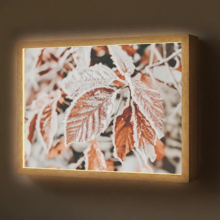 Bladeren - IJs - Winter - Natuur Light Box met batterij (Wandlamp) middel -z3d_website