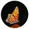 Vlinder - Bloemen - Insect - Portret - Zwart - Oranje Wandcirkel kunststof plaat 5mm dik klein -3d