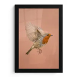 Roodborst - Natuur - Roze fotolijst zwart zonder passe partout klein -3d