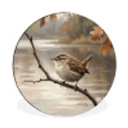 Winterkoninkje - Tak - Rivier - Natuur - Sfeervol Wandcirkel aluminium klein -3d