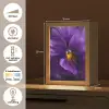 Paars - Viool - Diepte Light Box met kabel (Tafellamp) klein -USP_NL