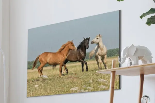 Foto op Aluminium Paarden
