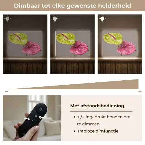 Planten - Anthurium - Groen - Roze Light Box met batterij (Wandlamp) middel -USP_dimbaarNL