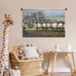 Schapen - Rij - Weide - Dieren - Platteland Wandkleed katoen middel -wsfeer5_kind