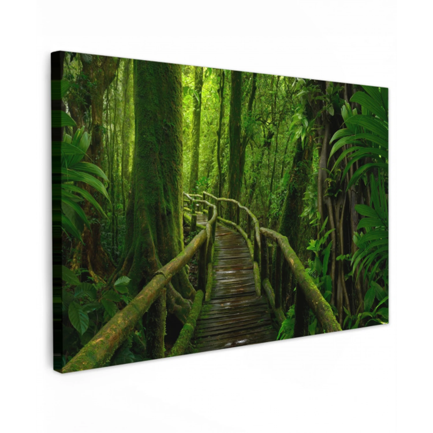 Jungle - Brug - Mos - Natuur - Tropisch canvas 2cm klein -z3d