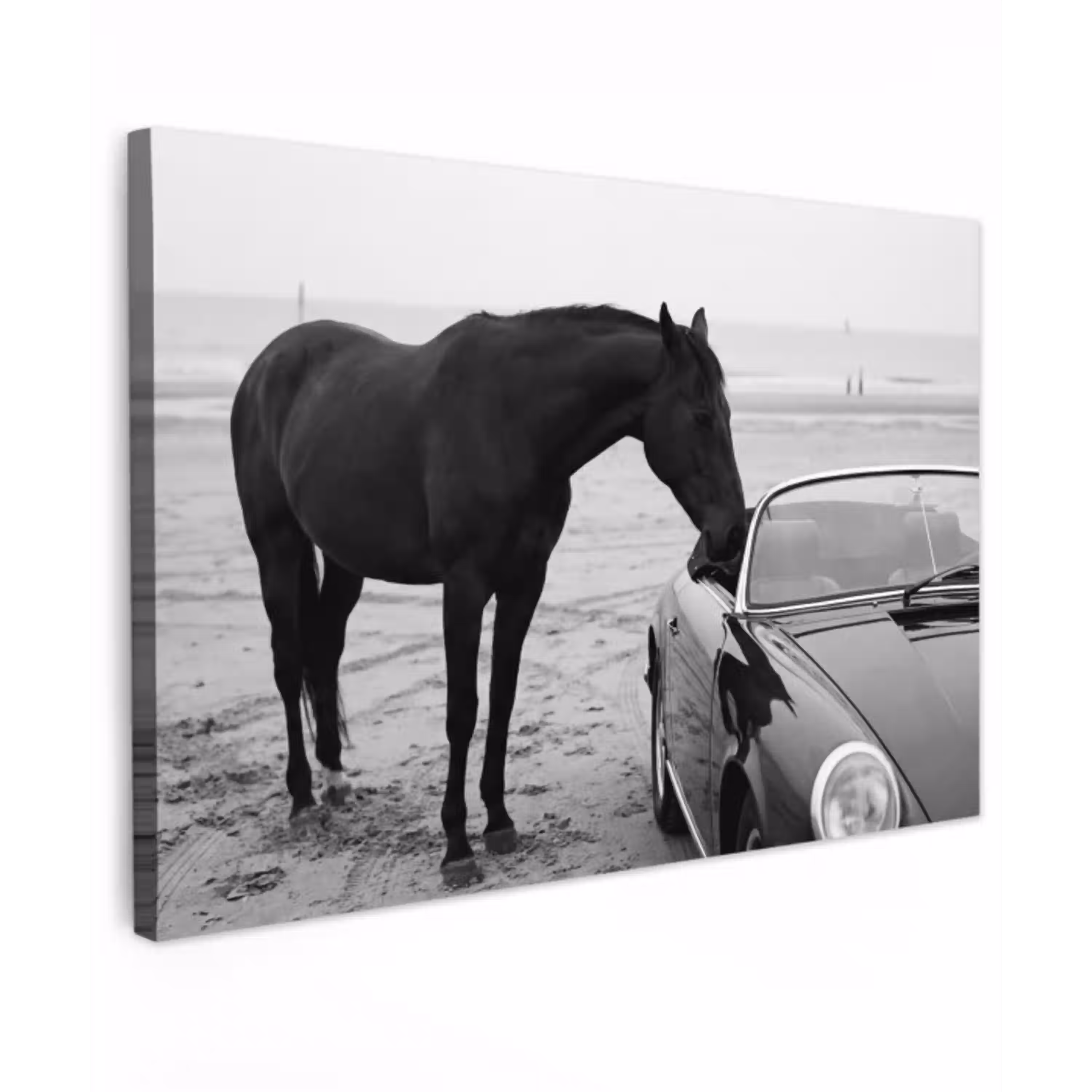 Paard - Auto - Zwart - Wit canvas 2cm klein -z3d